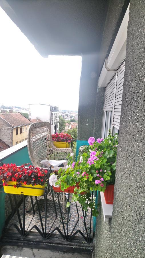 贝尔格莱德Garden公寓 外观 照片